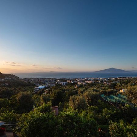 Sorrentovibes - Sea View Rooftop Apartment With Jacuzzi & Garden Buitenkant foto