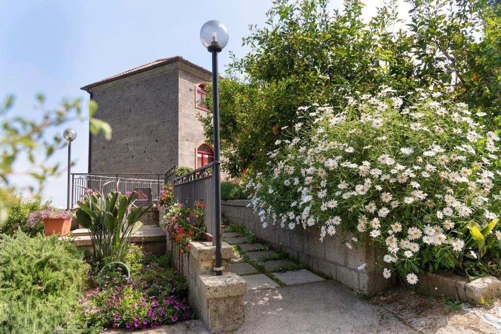 Sorrentovibes - Sea View Rooftop Apartment With Jacuzzi & Garden Buitenkant foto