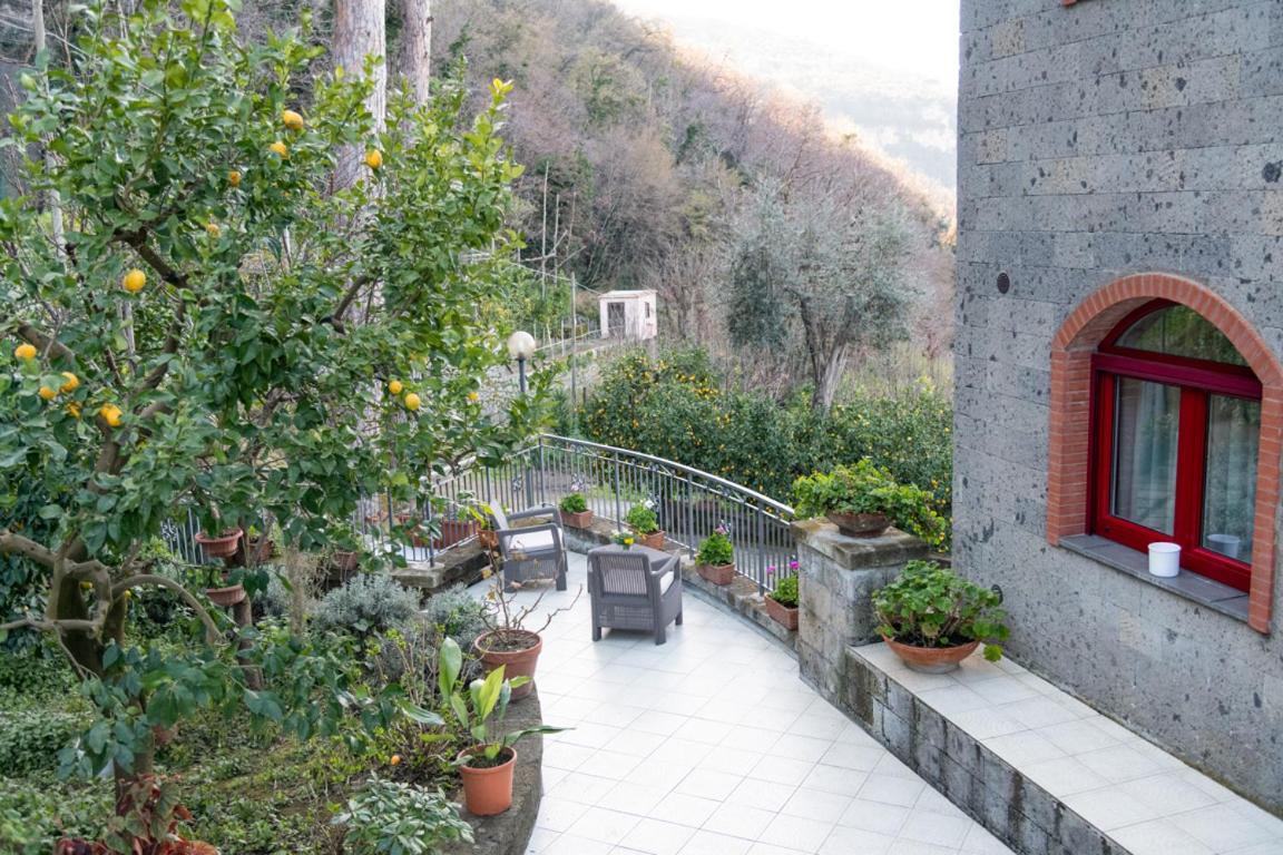 Sorrentovibes - Sea View Rooftop Apartment With Jacuzzi & Garden Buitenkant foto