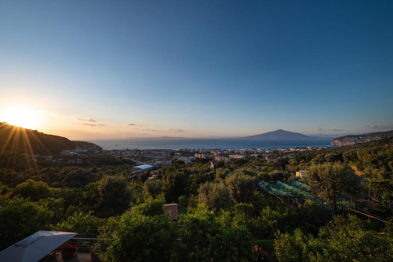 Sorrentovibes - Sea View Rooftop Apartment With Jacuzzi & Garden Buitenkant foto